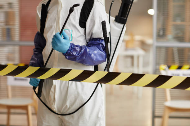Professional Hoarding Cleanup technician working in Conway, NH